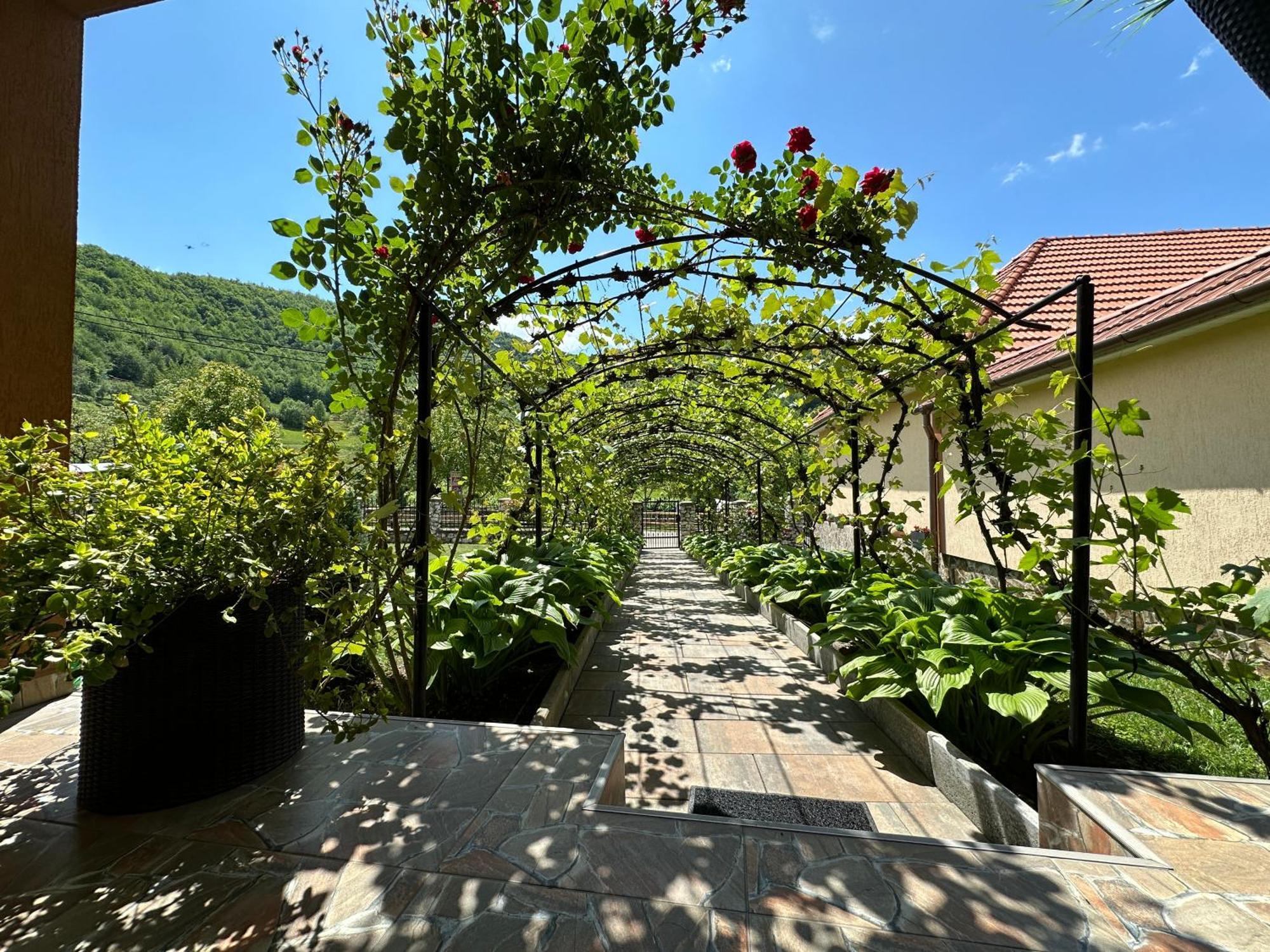 Отель Casa Antonia Chiscau Экстерьер фото